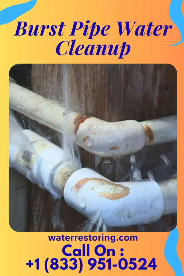 Burst Pipe Water Cleanup in Good Hope, OH