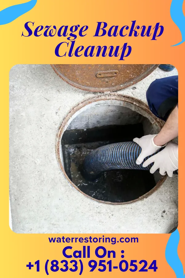 Sewage Backup Cleanup in Good Hope, OH