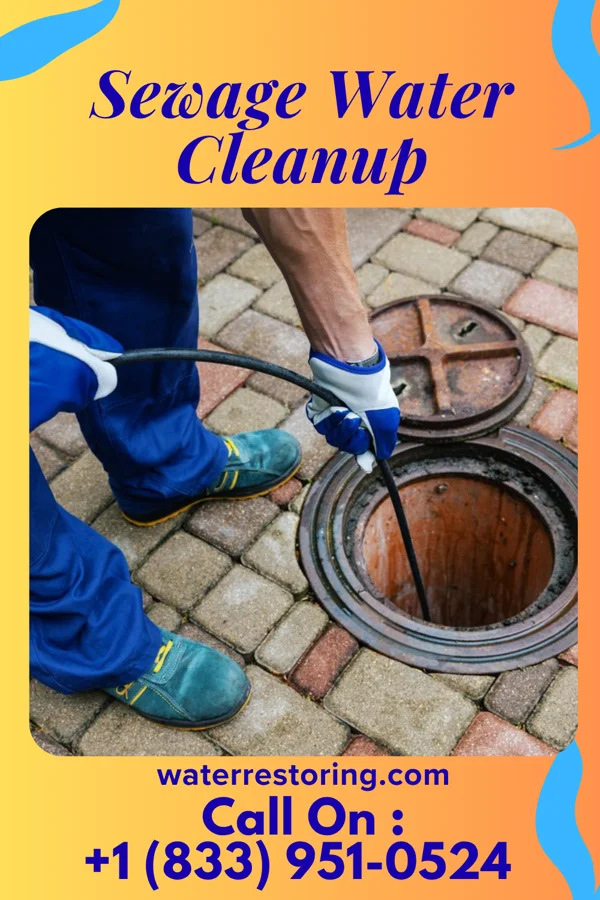 Sewage Water Cleanup in Good Hope, OH