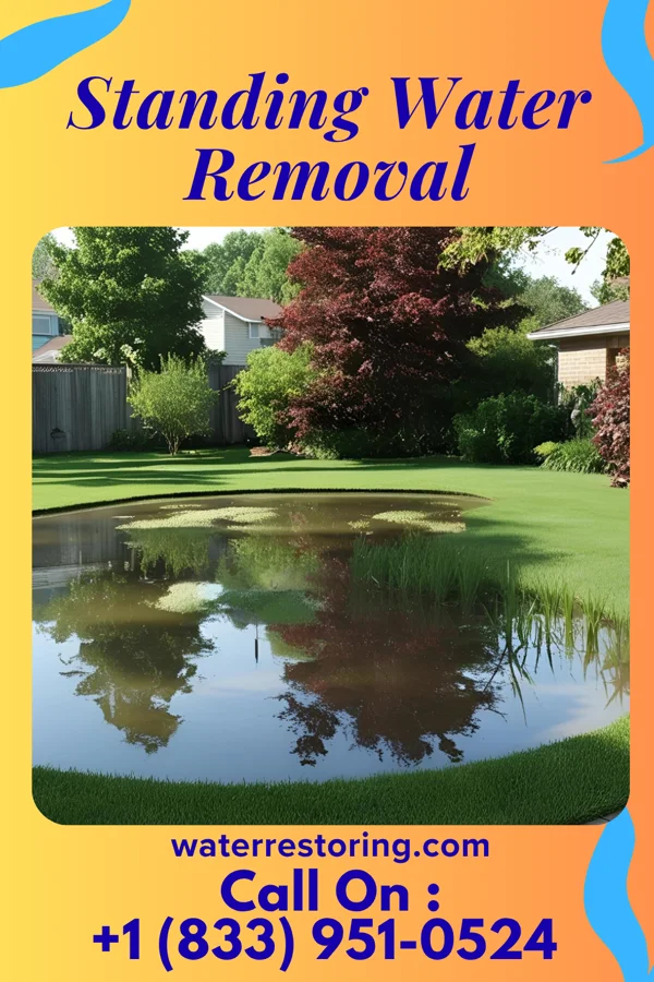 Standing Water Removal in Good Hope, OH